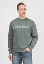  Calvin Klein Cotton Logo Sweatshirt Erkek Bisiklet Yaka Sweatshirt